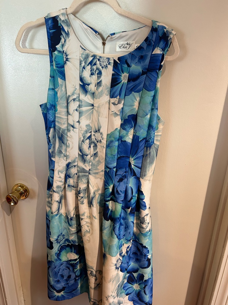 Eliza J Blue Floral Pleated Dress